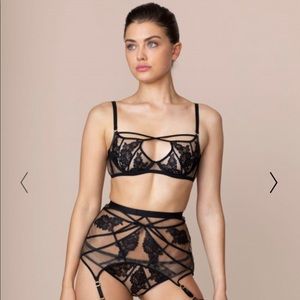 Agent Provocateur Icons Demzela complete set